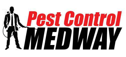 BW Pest Control Bromley